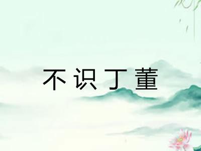 不识丁董