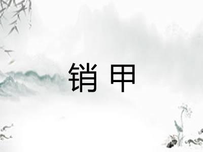 销甲 销甲