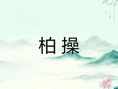 柏操 柏操