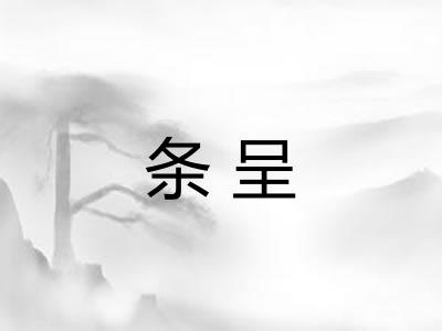 条呈
