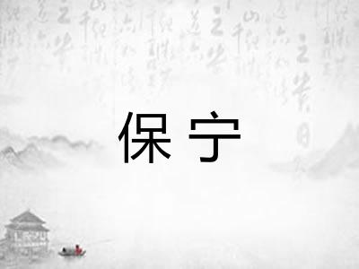 保宁 保宁