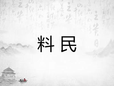 料民