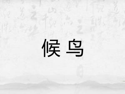 候鸟