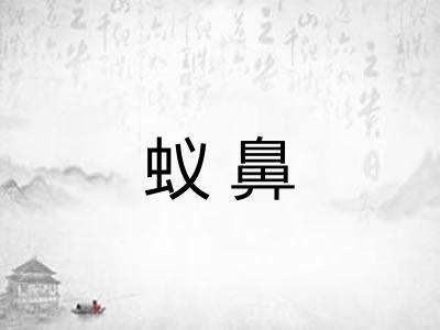 蚁鼻