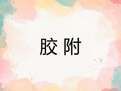 胶附