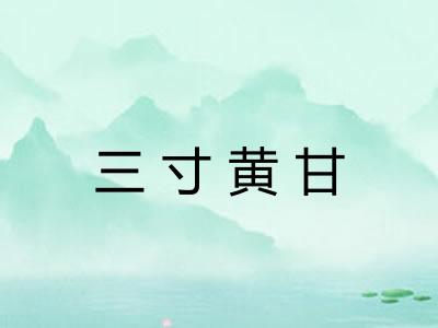 三寸黄甘 三寸黄甘