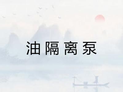 油隔离泵 油隔离泵