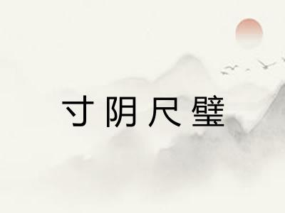 寸阴尺璧 寸阴尺璧