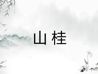 山桂