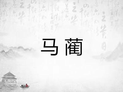 马蔺 马蔺