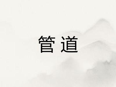 管道