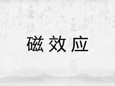 磁效应 磁效应