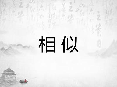 相似