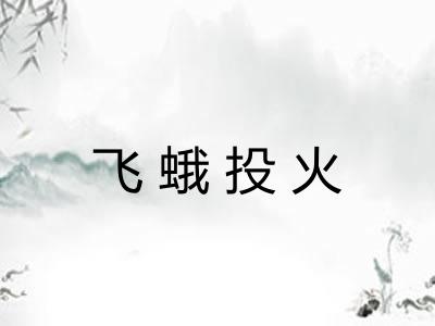 飞蛾投火 飞蛾投火