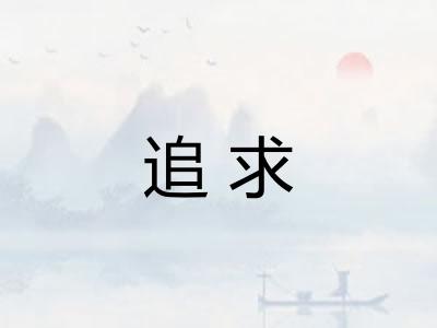追求 追求
