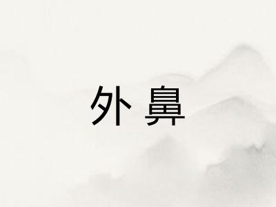 外鼻 外鼻