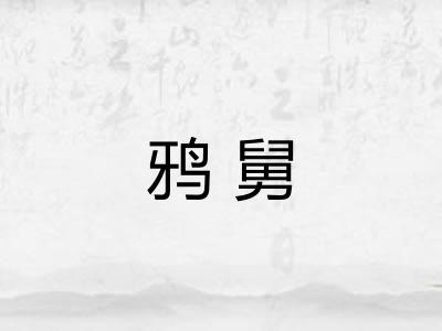 鸦舅