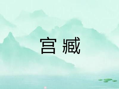 宫臧 宫臧