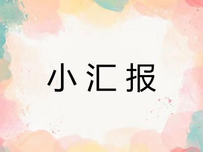 小汇报