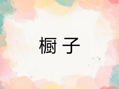 橱子