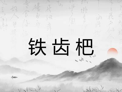 铁齿杷