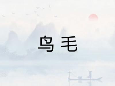 鸟毛 鸟毛