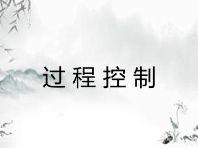 过程控制