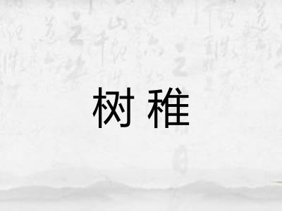 树稚
