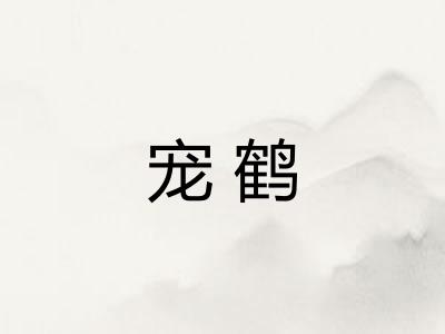 宠鹤 宠鹤