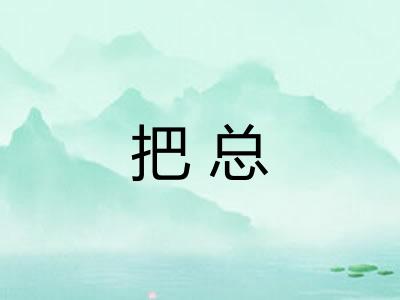 把总