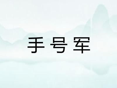 手号军