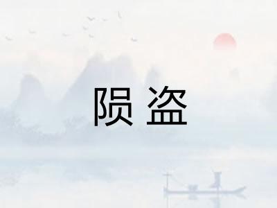 陨盗