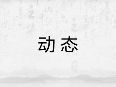 动态 动态
