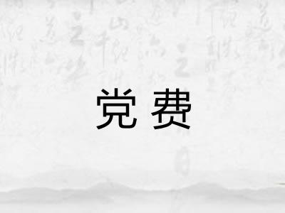 党费