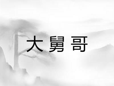 大舅哥