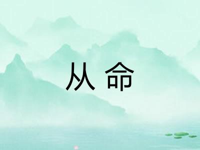 从命