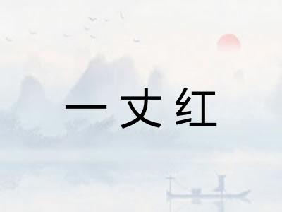 一丈红 一丈红