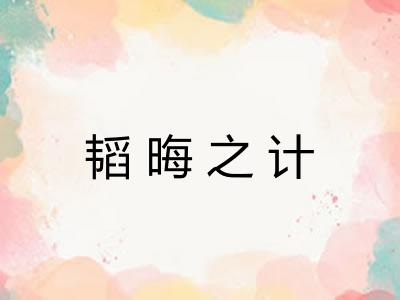 韬晦之计 韬晦之计