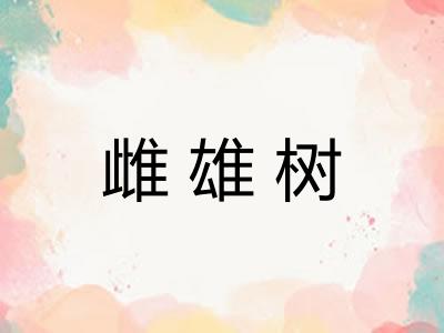 雌雄树 雌雄树