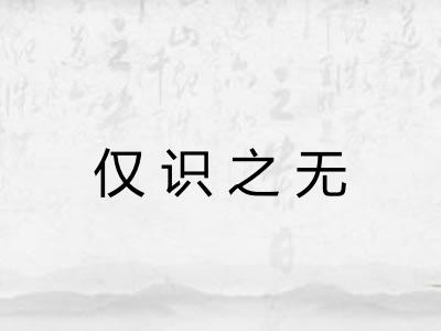 仅识之无 仅识之无