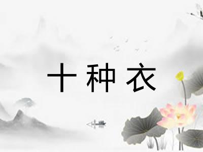 十种衣