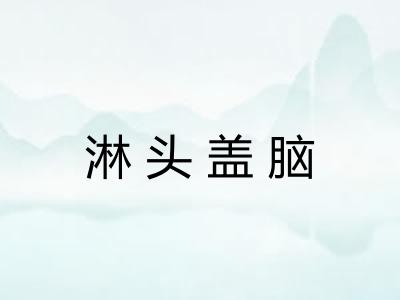 淋头盖脑 淋头盖脑