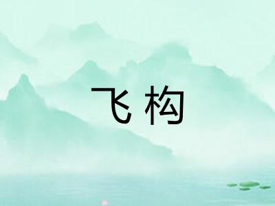 飞构 飞构
