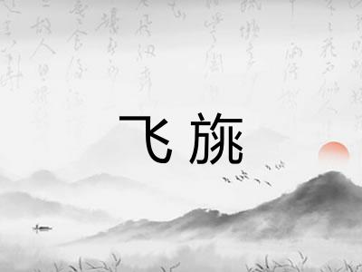 飞旐 飞旐