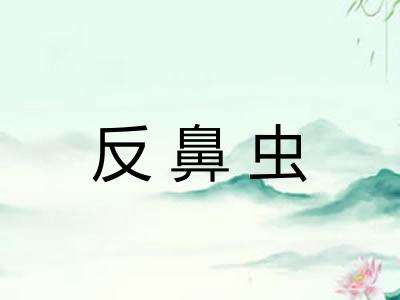 反鼻虫