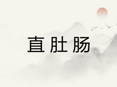 直肚肠