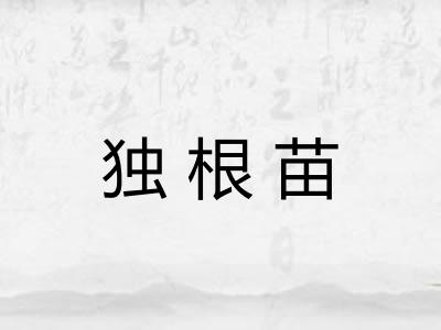 独根苗 独根苗