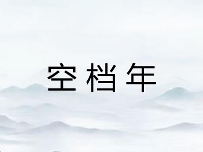 空档年