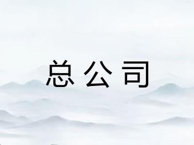 总公司