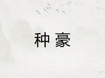 种豪